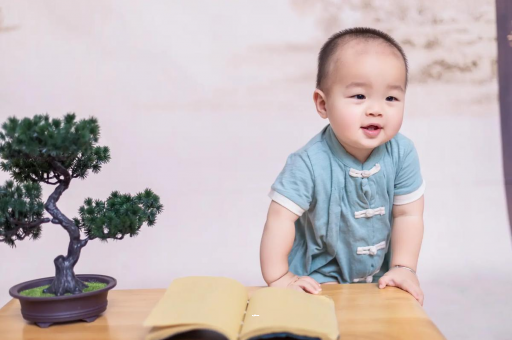 喀什可爱的企鹅宝宝